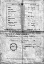 Старонкі з сямейнай палескай хронікі