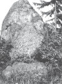 Грунвальдская (Таненбергская) бітва 1410 г. і яе адлюстраванне ў помніках XX ст. 