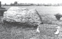 Грунвальдская (Таненбергская) бітва 1410 г. і яе адлюстраванне ў помніках XX ст. 