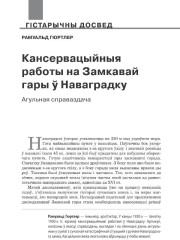 Кансервацыйныя работы на Замкавай гары ў Наваградку. Агульная справаздача 